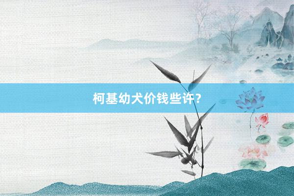 柯基幼犬价钱些许？