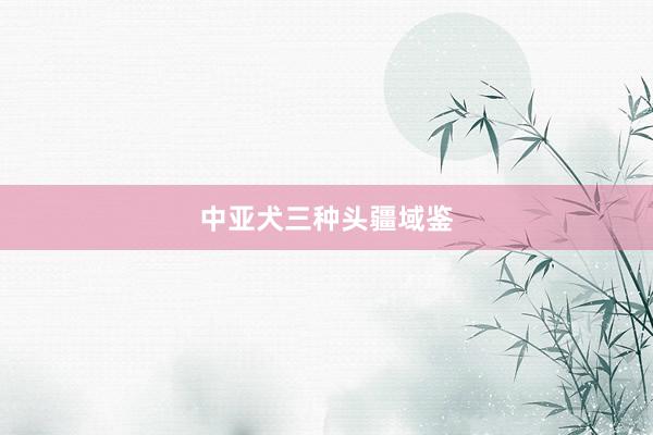 中亚犬三种头疆域鉴