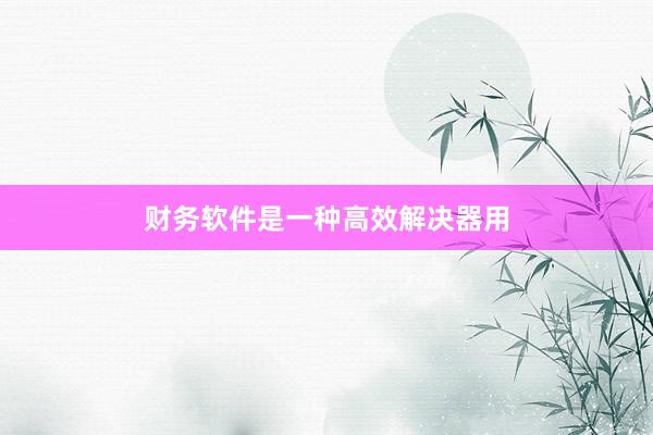 财务软件是一种高效解决器用